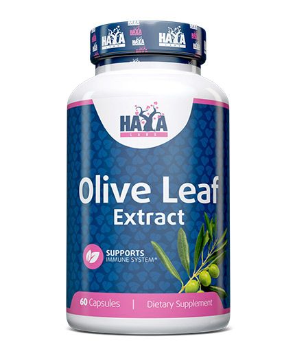 Haya Labs Olive Leaf  Extract 60 kaps. (Alyvuogių lapų ekstraktas)